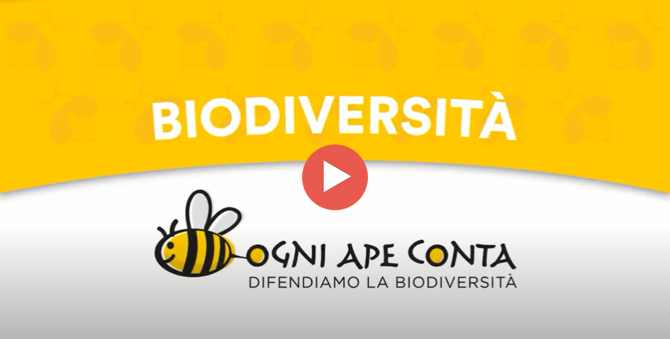 Biodiversità: ogni ape conta