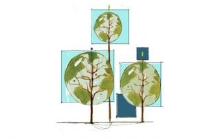 Disegno alberi