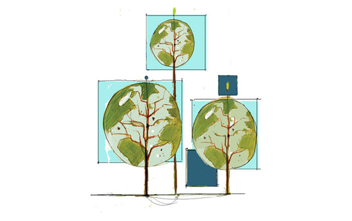 Disegno alberi