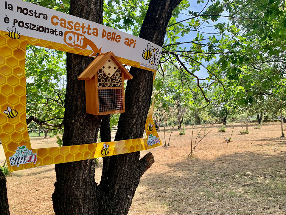 Casetta delle api