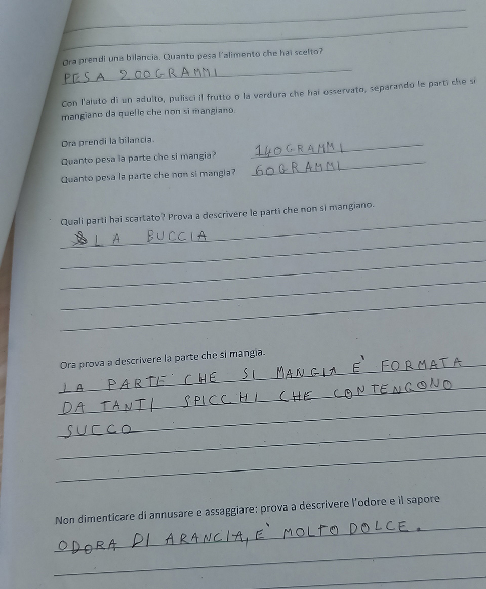 disegno di frutta e descrizione disegno di frutta e descrizione