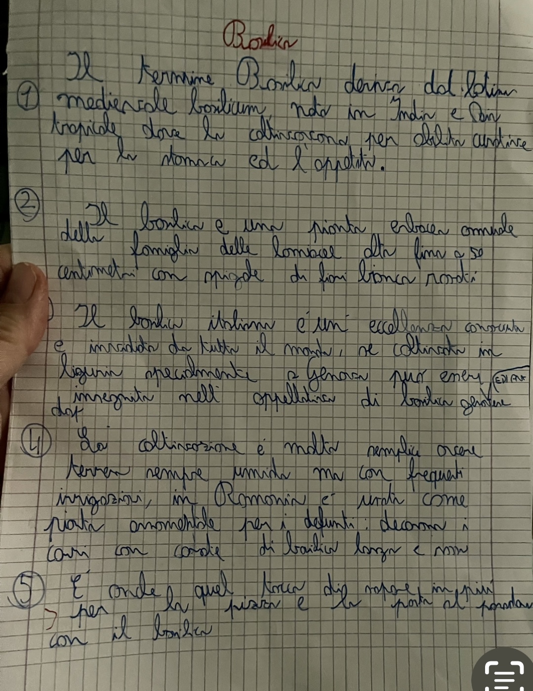 testo scritto da bambini sul basilico testo scritto da bambini sul basilico