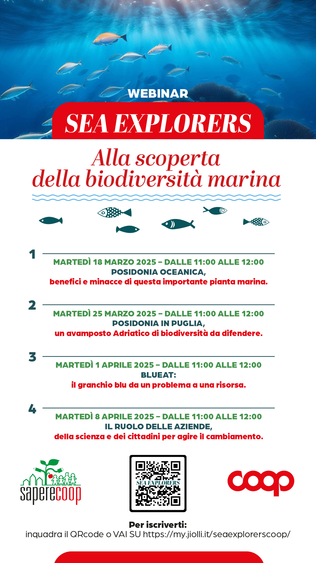 Animazione cittadinanza
