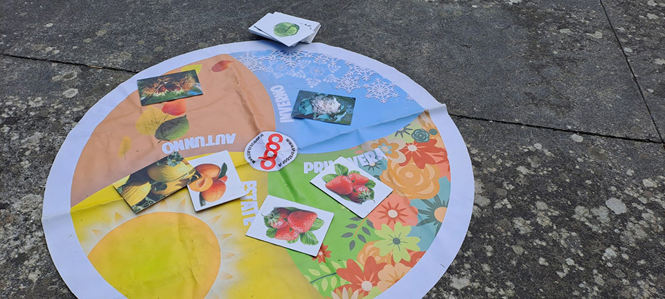 cartellone rotondo posizionato a terra, diviso in quattro spicchi colorati che rappresentano le stagioni: primavera, estate, autunno e inverno cartellone rotondo posizionato a terra, diviso in quattro spicchi colorati che rappresentano le stagioni: primavera, estate, autunno e inverno