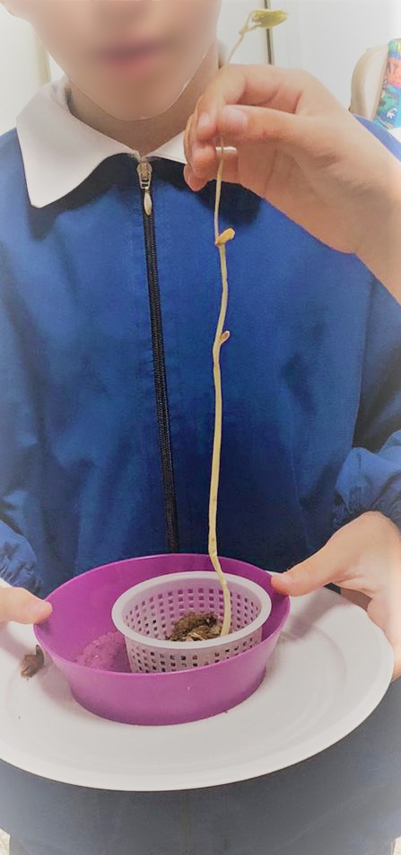 mano di bambino con germoglio mano di bambino con germoglio