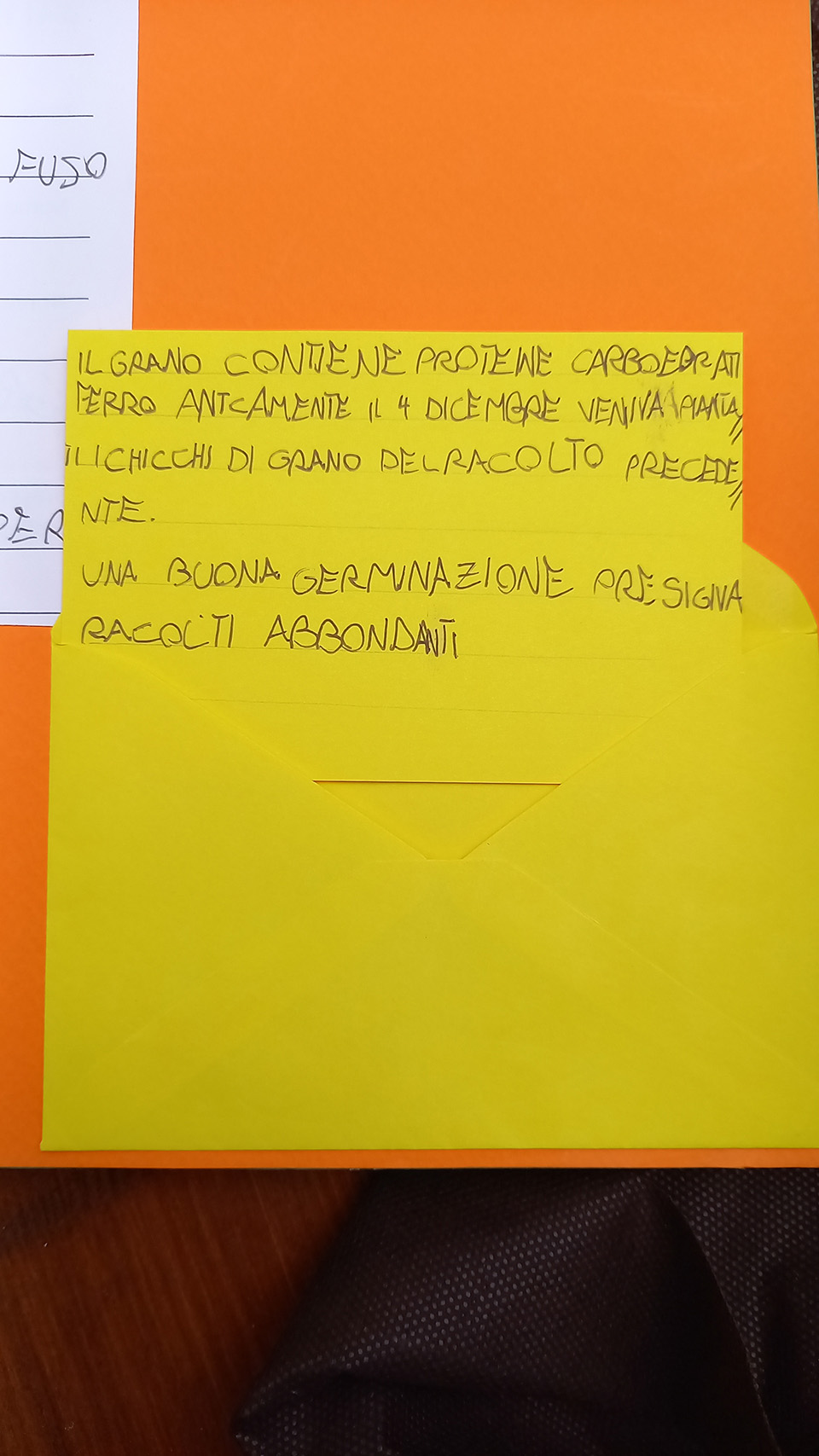 cartellone con descrizione delle caratteristiche del grano cartellone con descrizione delle caratteristiche del grano